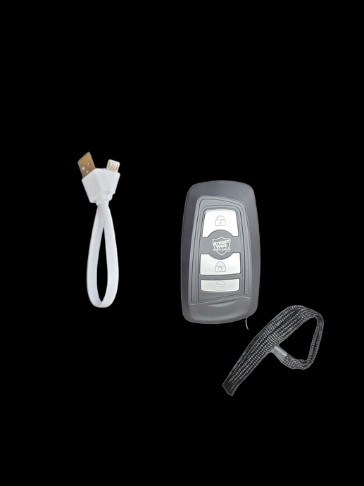 Car Key Protector